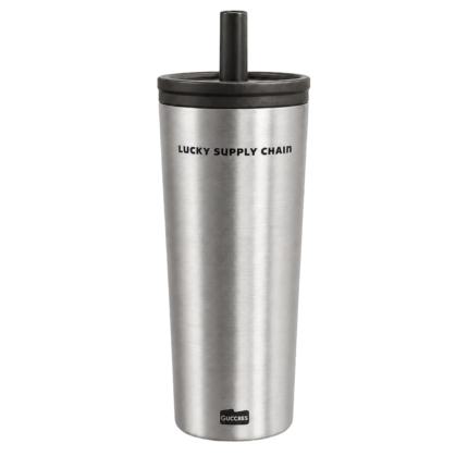 Stainless Steel Tumbler with Straw – 700ML - Silver