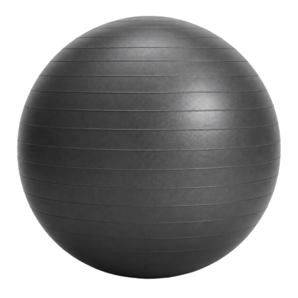 Gym & Stability Exercise Ball