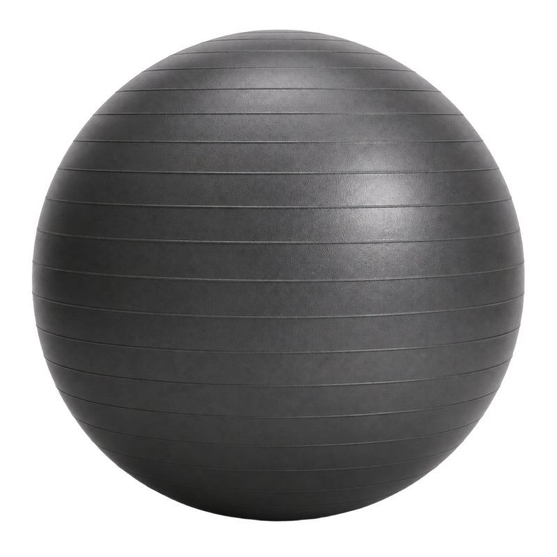 Gym & Stability Exercise Ball